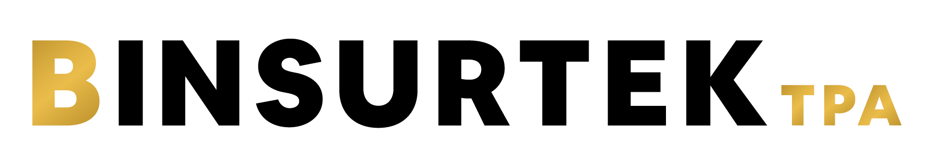 BINSURTEK TPA LOGO